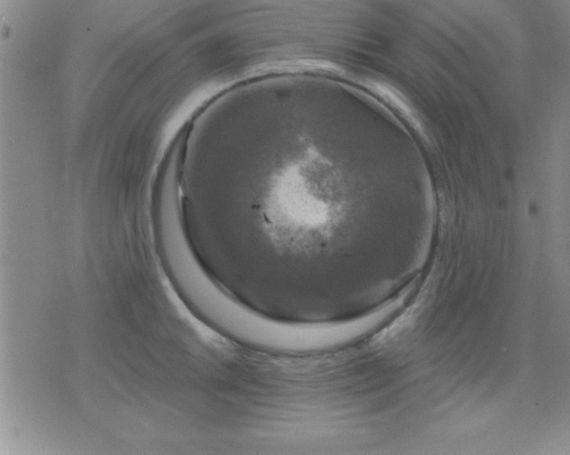 X0000075901046200609221932