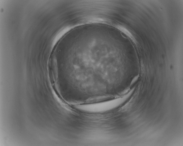 X0000075901047200609221932