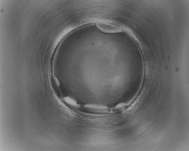 X0000075901048200609221932