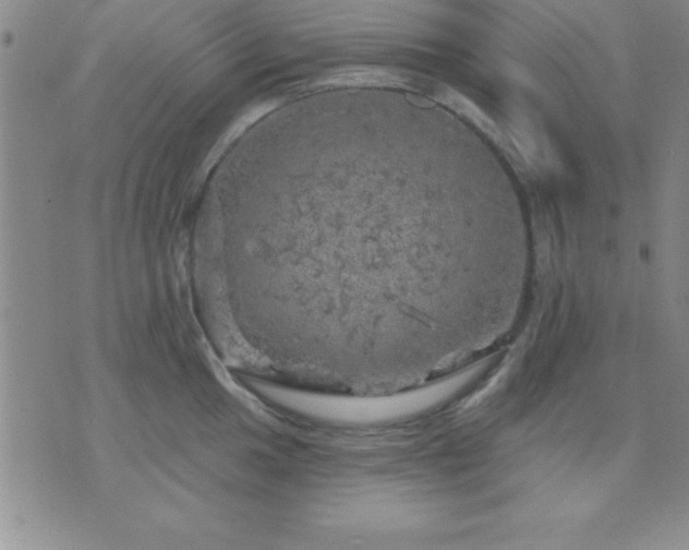 X0000075901049200609221932