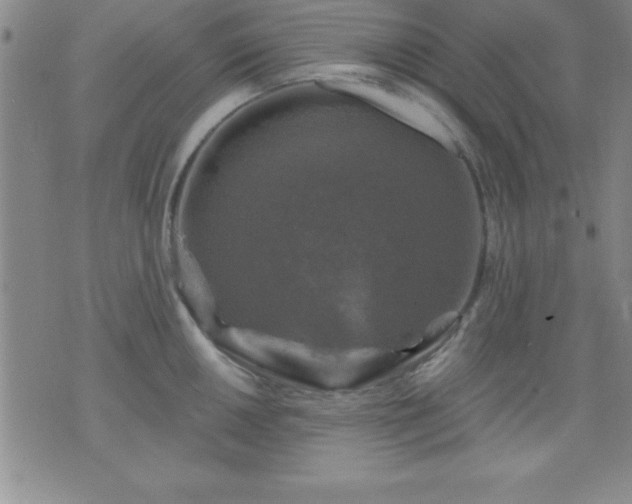 X0000075901050200609221932