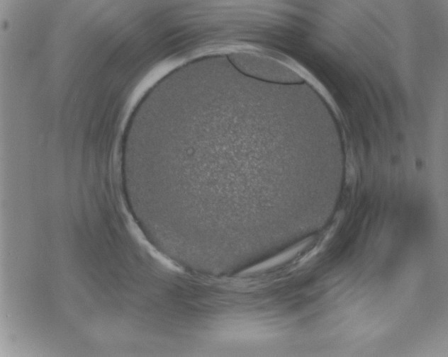 X0000075901053200609221932