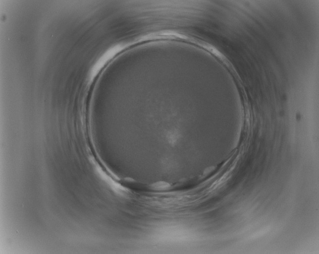 X0000075901054200609221932