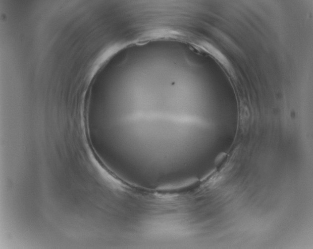 X0000075901055200609221932