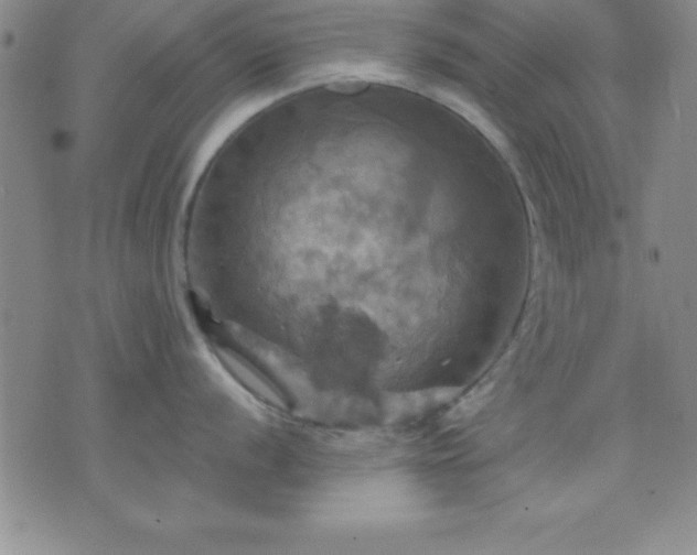 X0000075901056200609221932