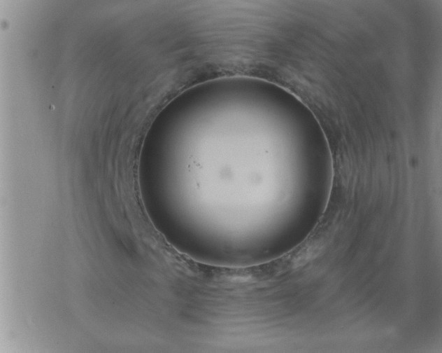 X0000075901057200609221931