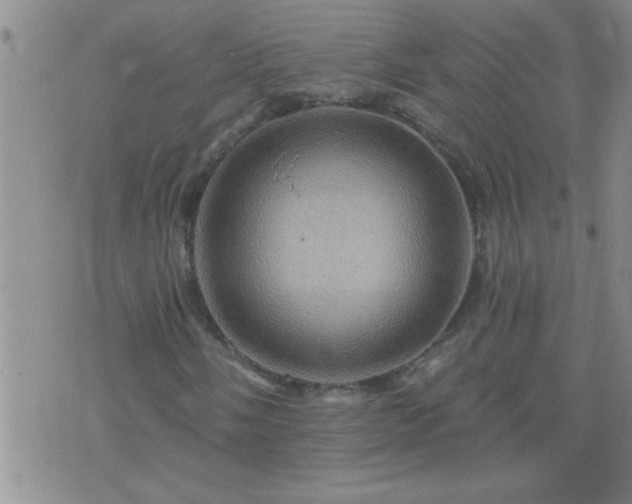 X0000075901058200609221931