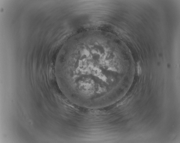 X0000075901059200609221931