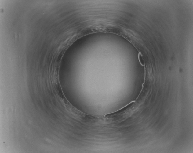 X0000075901060200609221931