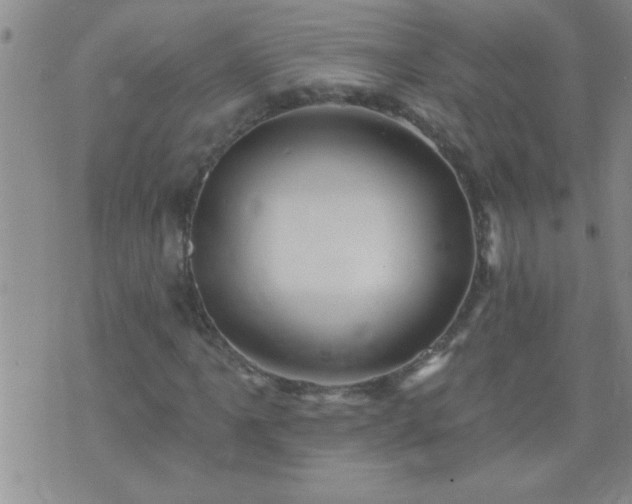 X0000075901061200609221931