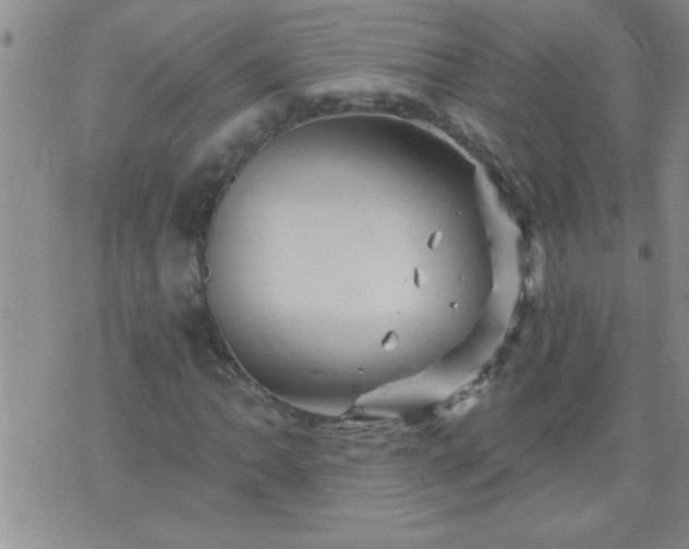 X0000075901062200609221931