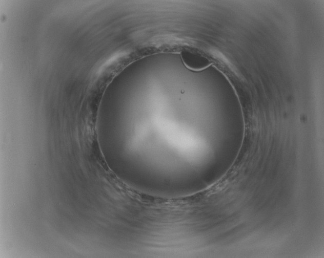 X0000075901063200609221931