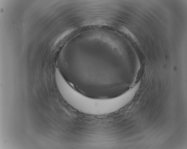 X0000075901064200609221931