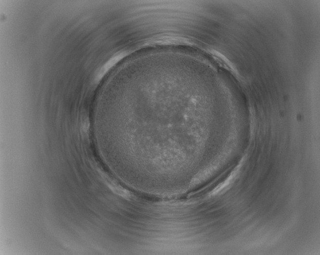 X0000075901065200609221931