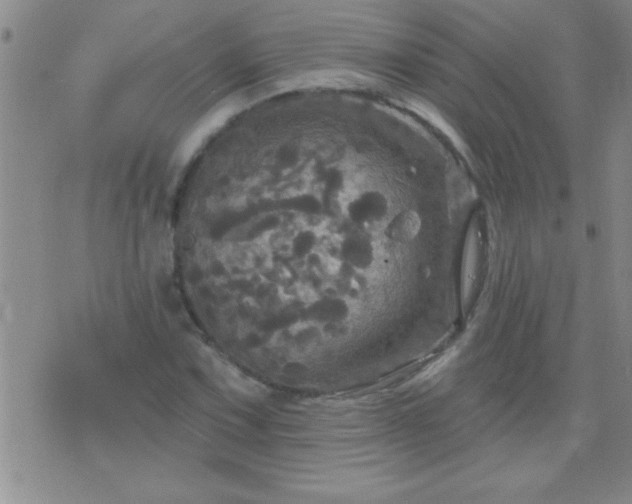 X0000075901067200609221931