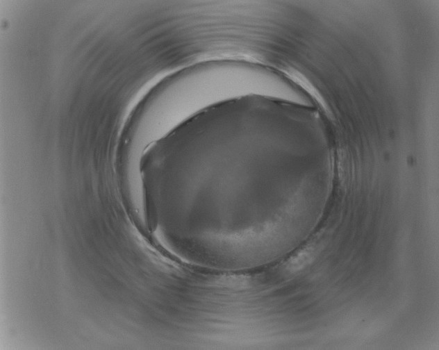 X0000075901068200609221931