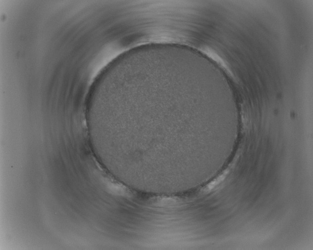 X0000075901070200609221931