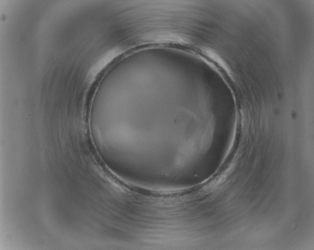 X0000075901071200609221931