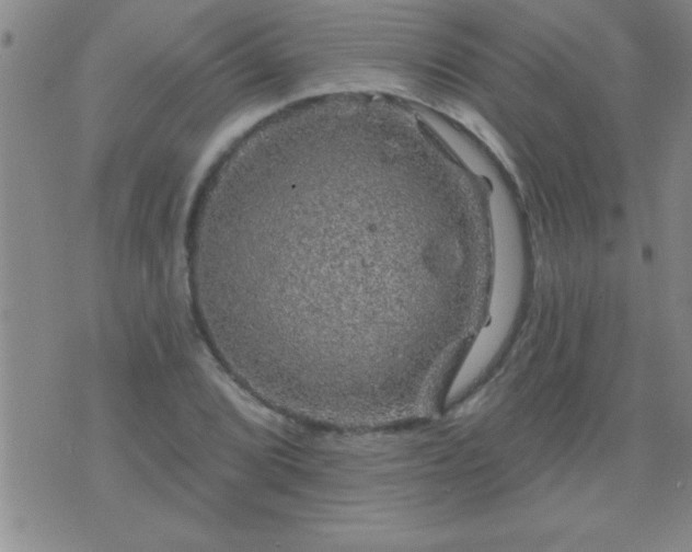 X0000075901072200609221931