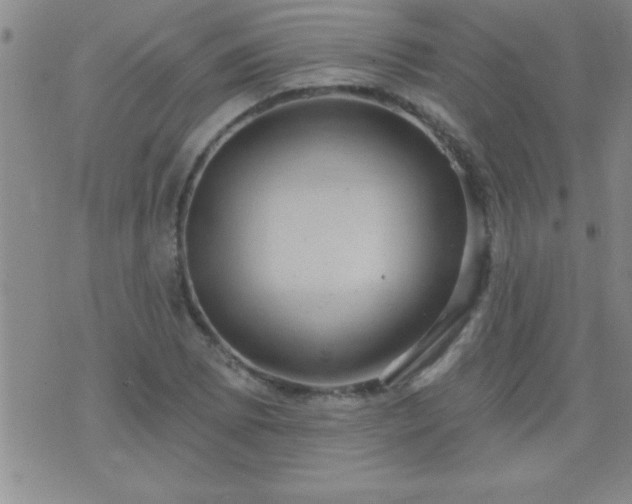 X0000075901073200609221931