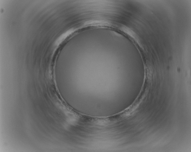 X0000075901074200609221931