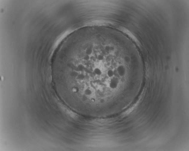 X0000075901075200609221931