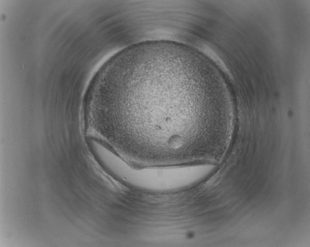 X0000075901076200609221931