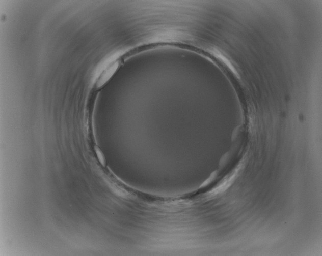 X0000075901077200609221931