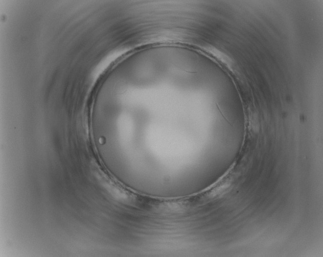 X0000075901078200609221931