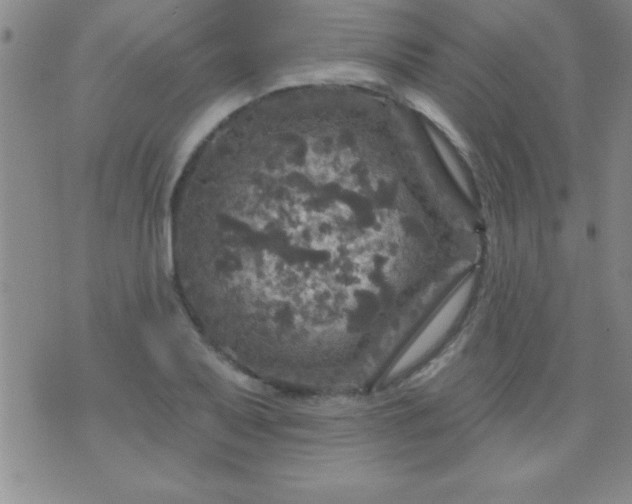 X0000075901079200609221931