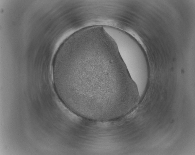 X0000075901080200609221931