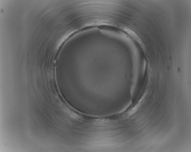 X0000075901081200609221931