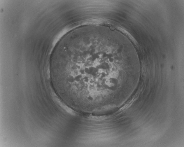 X0000075901083200609221931