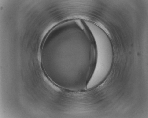 X0000075901084200609221931