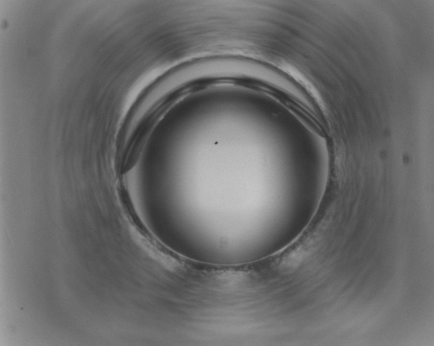 X0000075901085200609221931