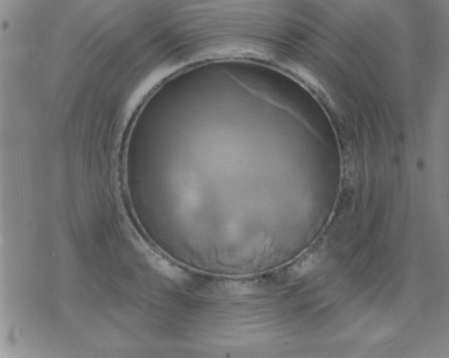 X0000075901086200609221931