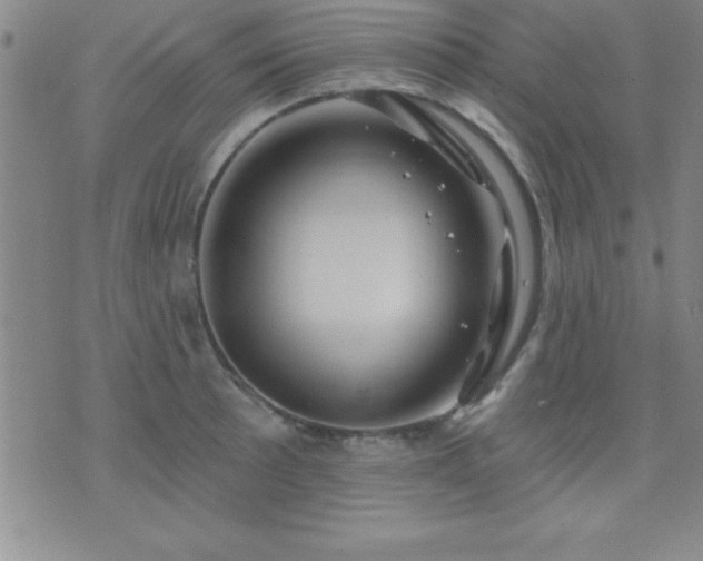 X0000075901089200609221931