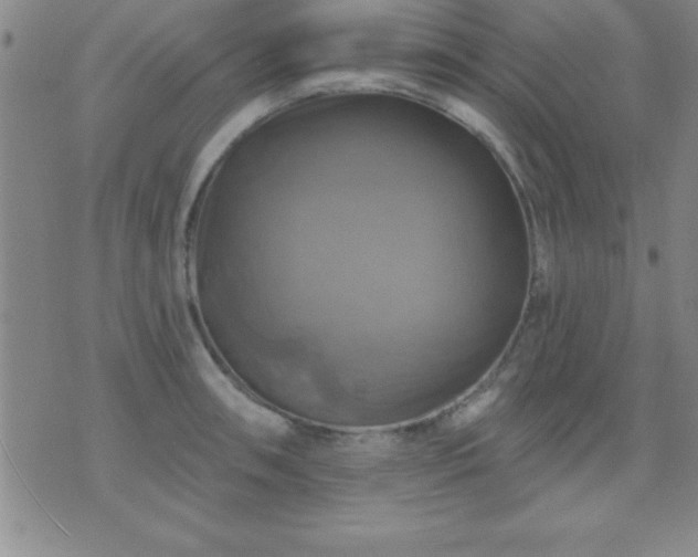 X0000075901090200609221931