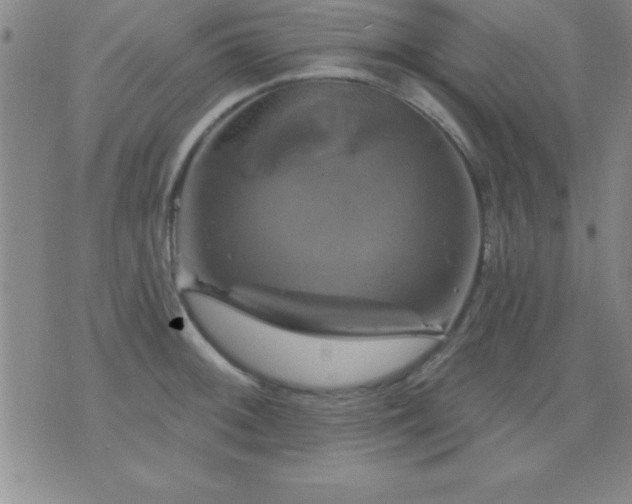 X0000075901092200609221930