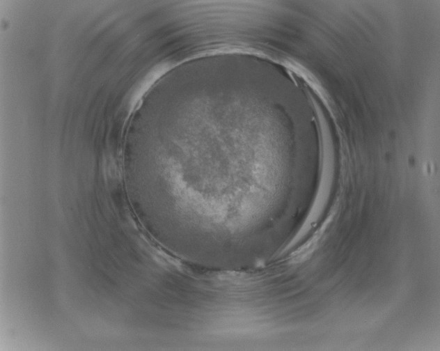 X0000075901097200609221930