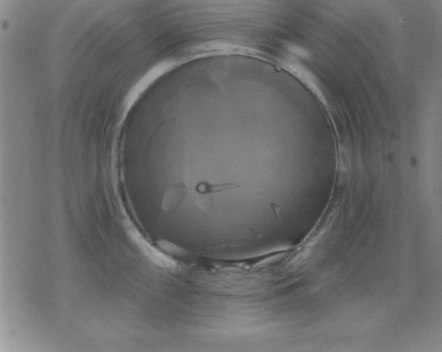 X0000075901098200609221930