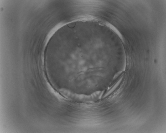 X0000075901099200609221930