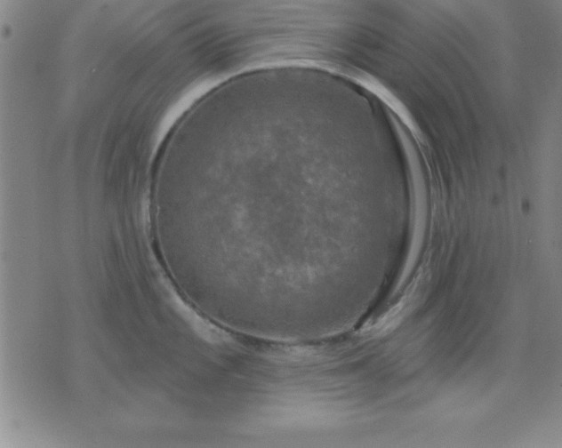 X0000075901101200609221930