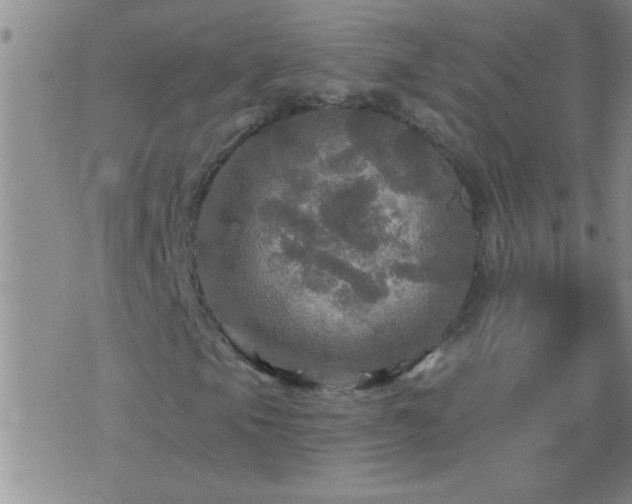 X0000075901105200609221930