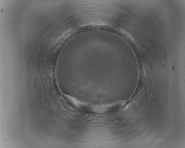 X0000075901110200609221930