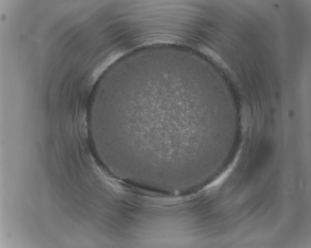 X0000075901113200609221930