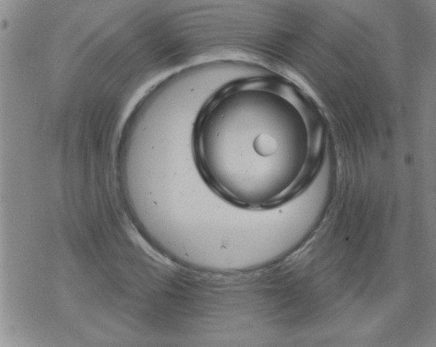 X0000075901116200609221930