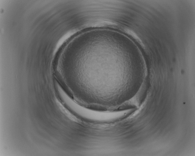 X0000075901122200609221930