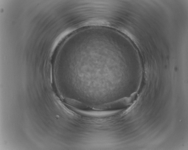 X0000075901123200609221930