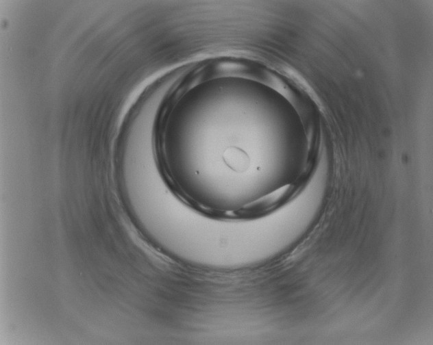 X0000075901124200609221930